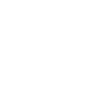 icon white eurosport