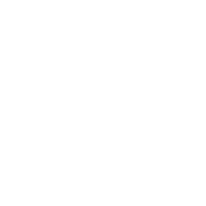 icon white hyatt