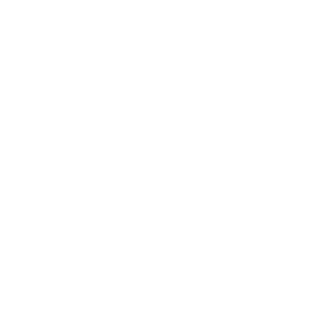 icon white iceland