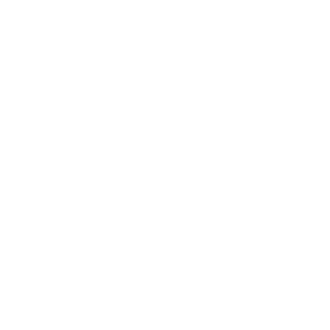 icon white london luton airport