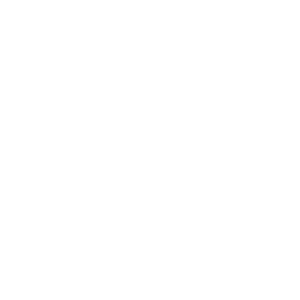 icon white lumipay