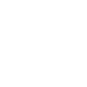 icon white sony